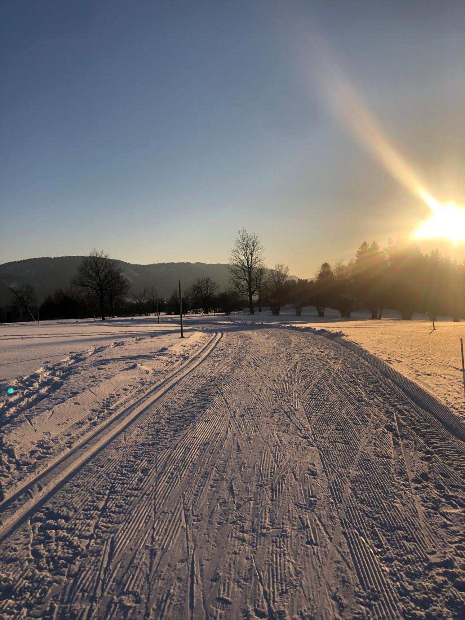 Natur- & Aktivoase Buchenberg  Esterno foto