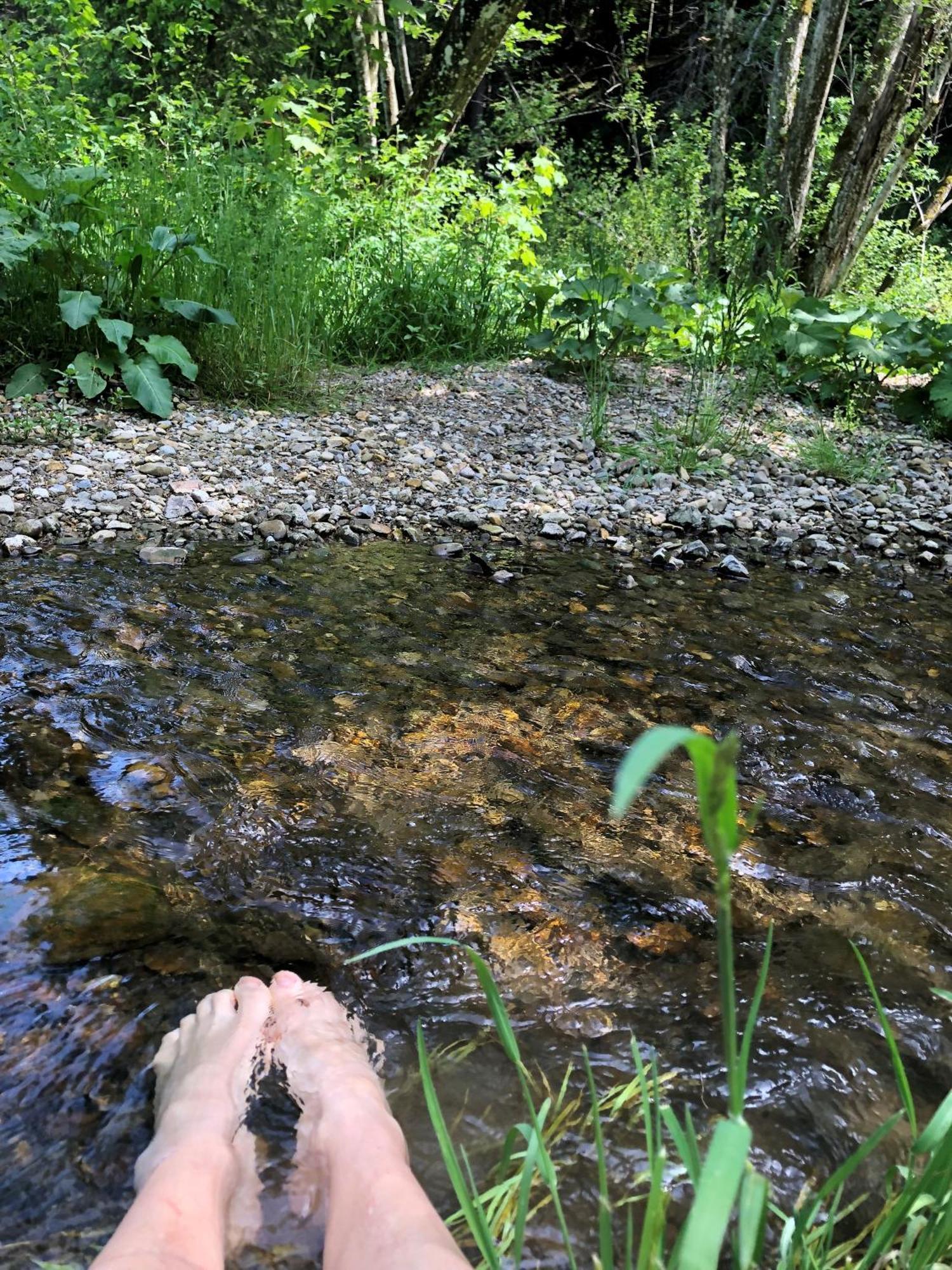 Natur- & Aktivoase Buchenberg  Esterno foto